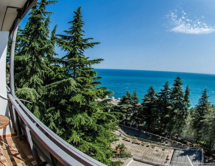 Стандарт с кондиционером, юг (корп.3) - Санаторий «Родина»