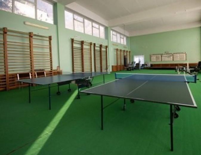 Настольный теннис - Санаторий «Родина»